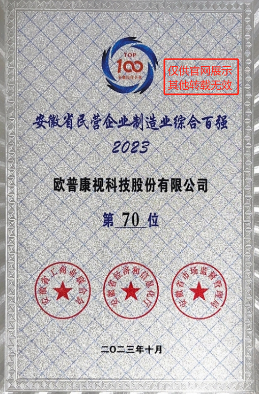 安徽省民营企业造作业百强