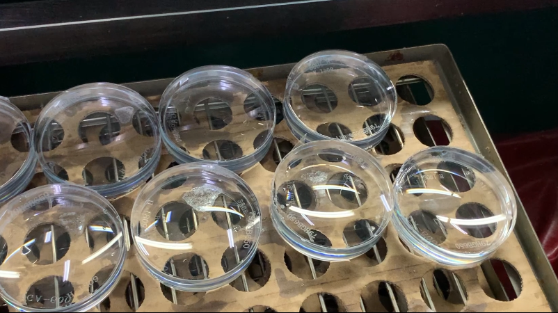 首页| 28圈游戏有限公司官方网站