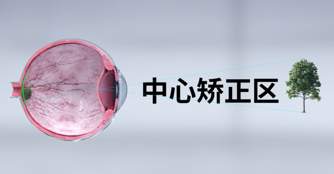 首页| 28圈游戏有限公司官方网站